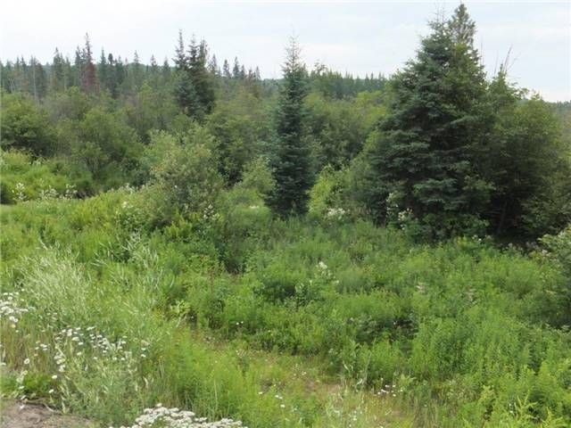 0 Highway 118, Highlands East, K0L 3C0 | Image 2