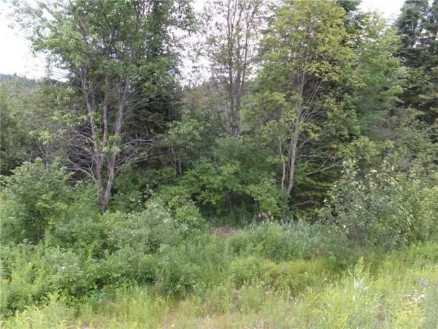 0 Highway 118, Highlands East, K0L 3C0 | Image 3