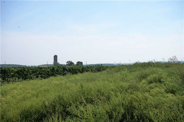 818 Concession 6 Rd, Niagara-on-the-Lake, L0S 1J0 | Image 2