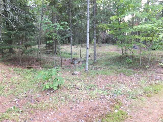 0 Gelert Rd, Minden Hills, K0M2K0 | Image 2