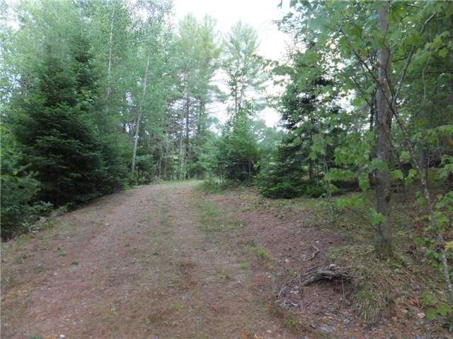 0 Gelert Rd, Minden Hills, K0M2K0 | Image 3