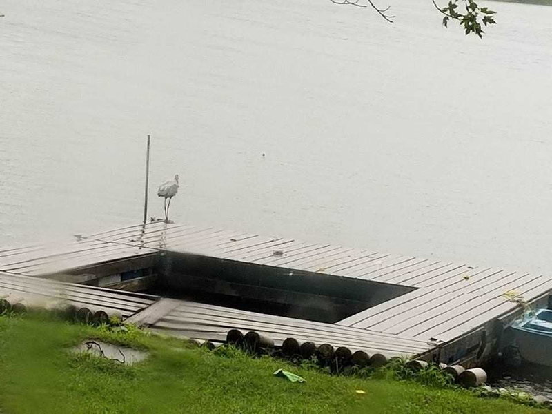 110 Hickory Bay Rd W, Trent Hills, K0L1L0 | Image 3