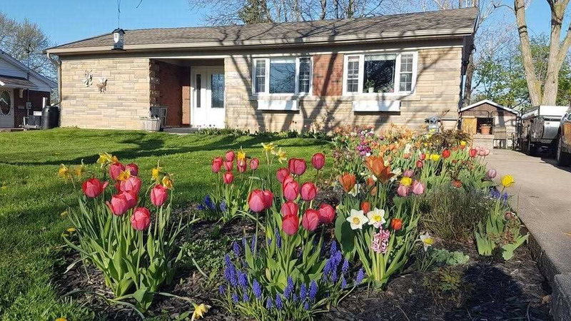 4165 William St, Lincoln, L0R1B7 | Image 2