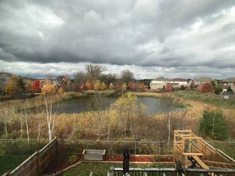 215 Munnoch Blvd, Woodstock, N4T1V7 | Image 3