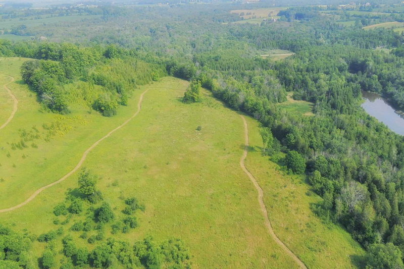 156 Barden St, Guelph/Eramosa, N0B 1P0 | Image 2