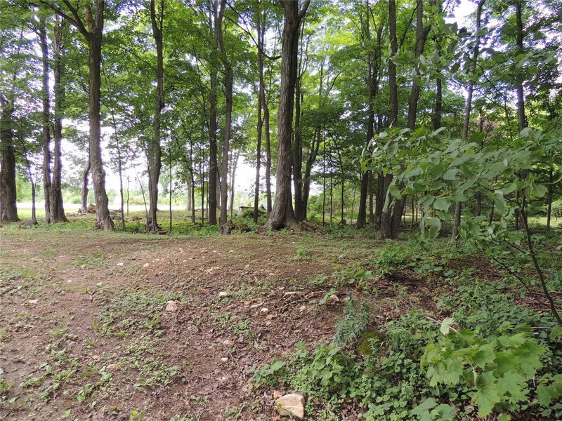 Lot 8 Green Acres Rd, Grey Highlands, N0C 1E0 | Image 2