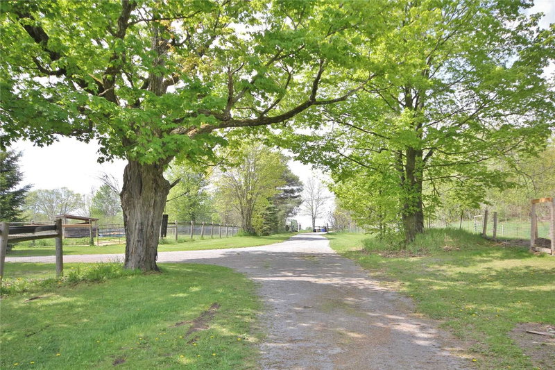 571 Hickory Beach Rd, Kawartha Lakes, K0M1N0 | Image 2