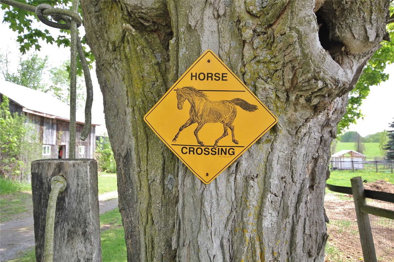 571 Hickory Beach Rd, Kawartha Lakes, K0M1N0 | Image 3