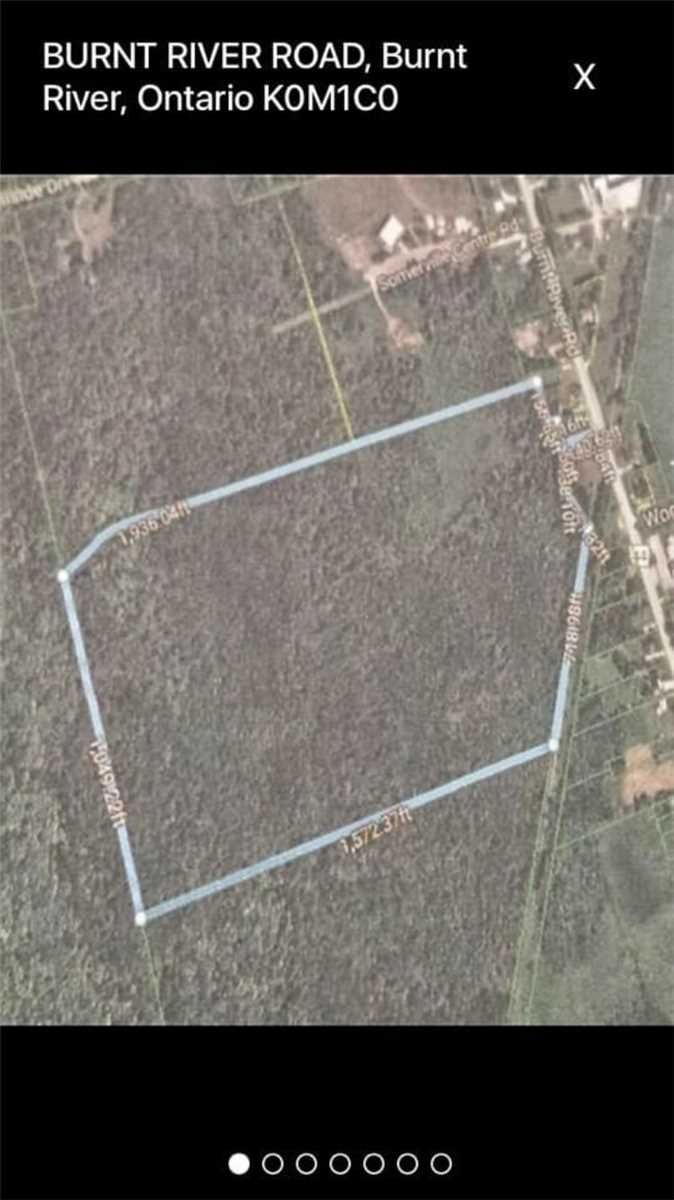 0 Burnt River Rd, Kawartha Lakes, N/A | Image 2