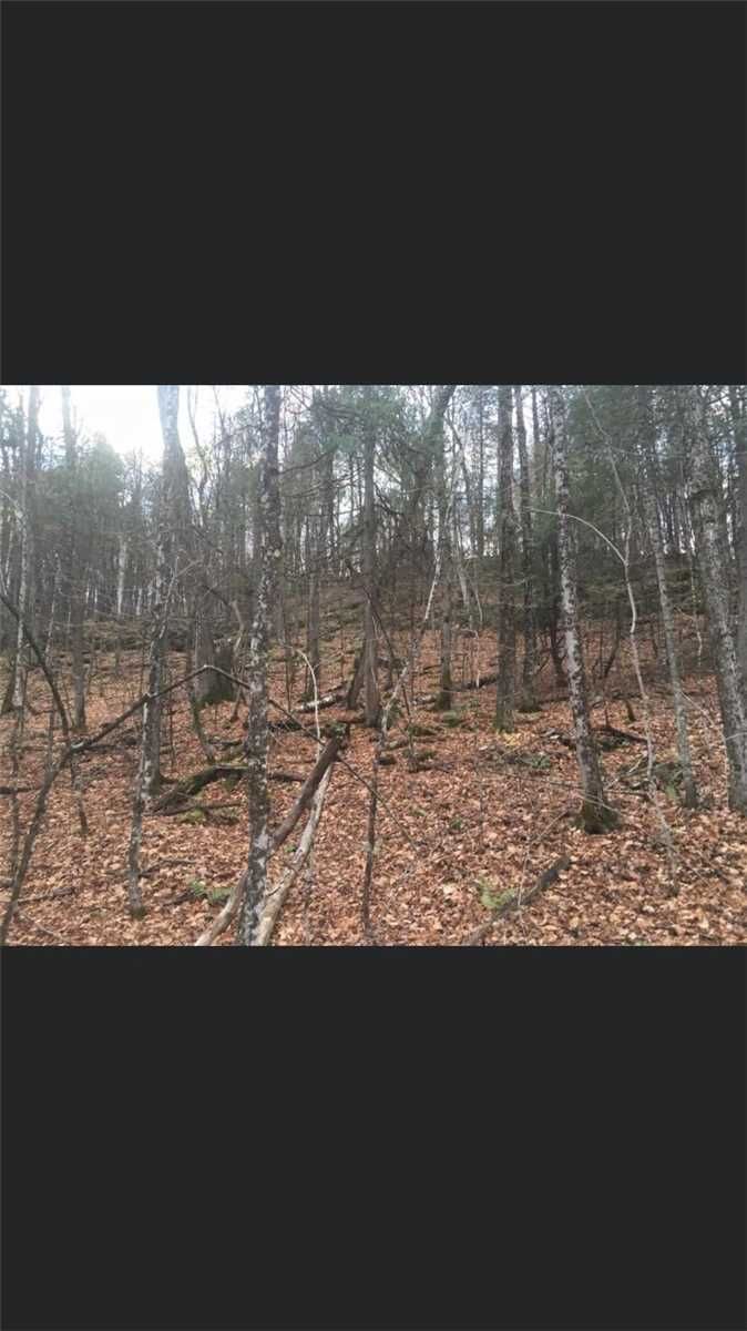 0 Burnt River Rd, Kawartha Lakes, N/A | Image 3