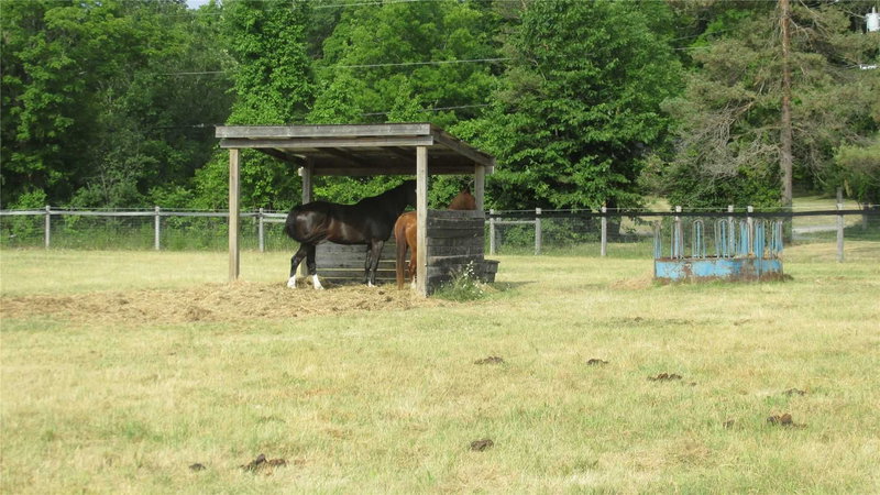 571 Hickory Beach Rd, Kawartha Lakes, K0M 1N0 | Image 2