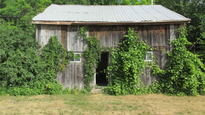 571 Hickory Beach Rd, Kawartha Lakes, K0M 1N0 | Image 3