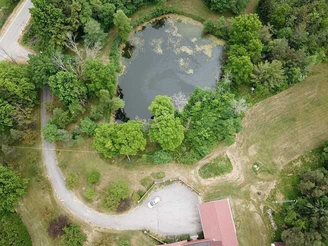 340 Roland Rd, Pelham, L0S1M0 | Image 3