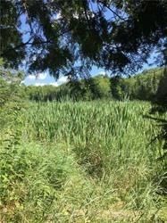 0 Highway 35, Minden Hills, Xxx Xxx | Image 3