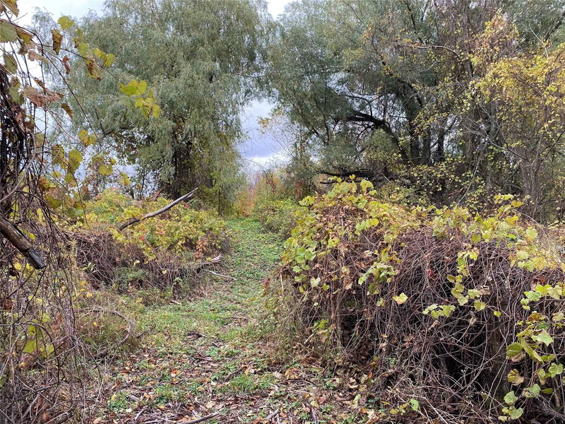 9 Laela Cres, Mulmur, L9V 2V7 | Image 3