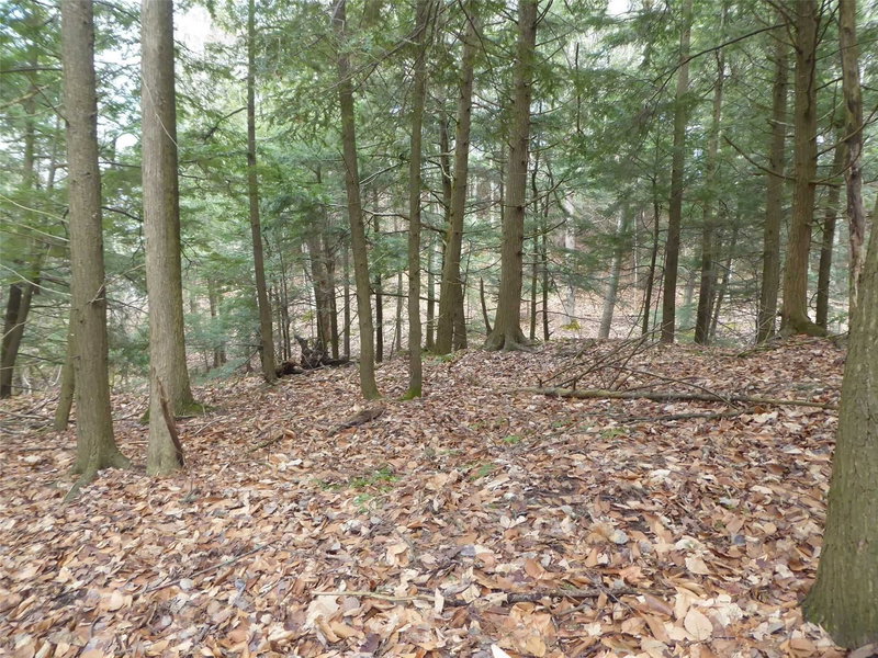 Lot 21 Bayshore Rd, Meaford, N0H 1B0 | Image 2