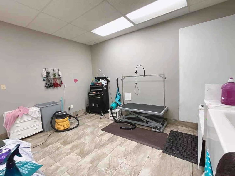 4 - 595 Carlton St, St. Catharines, L2M4Y2 | Image 2