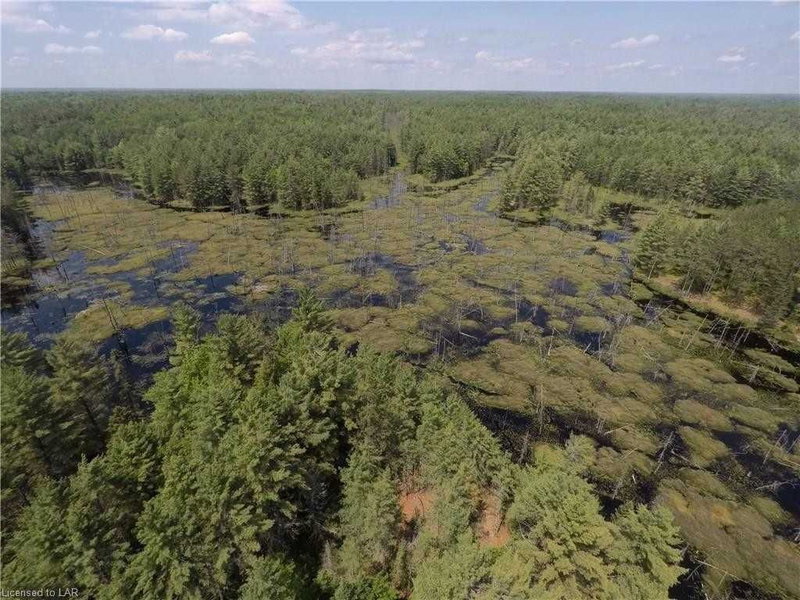 0 Gelert Rd, Minden Hills, K0M2K0 | Image 2