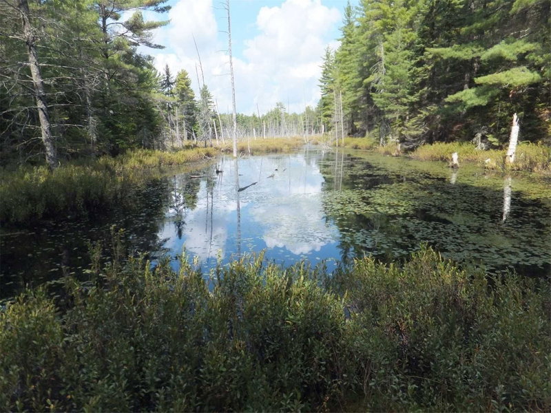 0 Gelert Rd, Minden Hills, K0M2K0 | Image 3