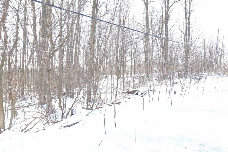 207 Goodfellow Rd, Brighton, K0K1R0 | Image 2