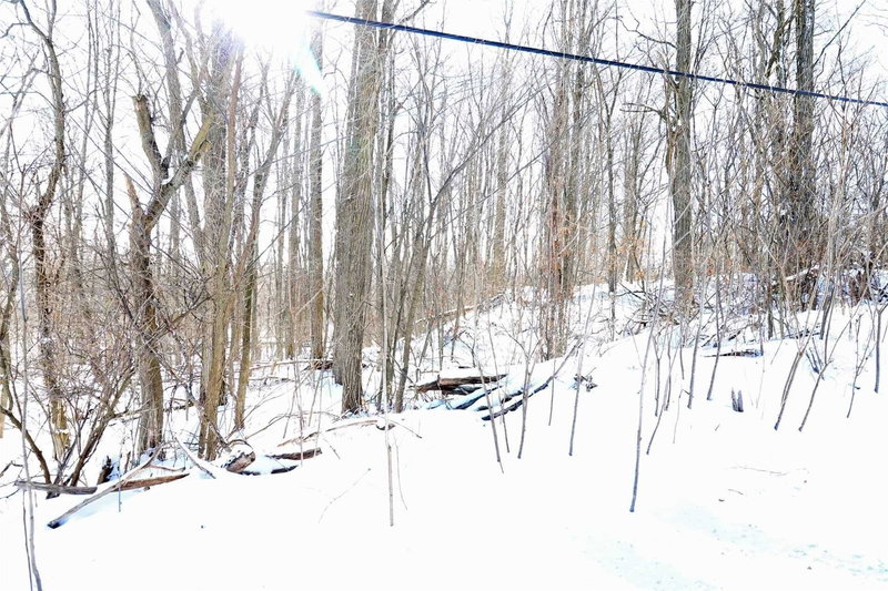 207 Goodfellow Rd, Brighton, K0K1R0 | Image 3