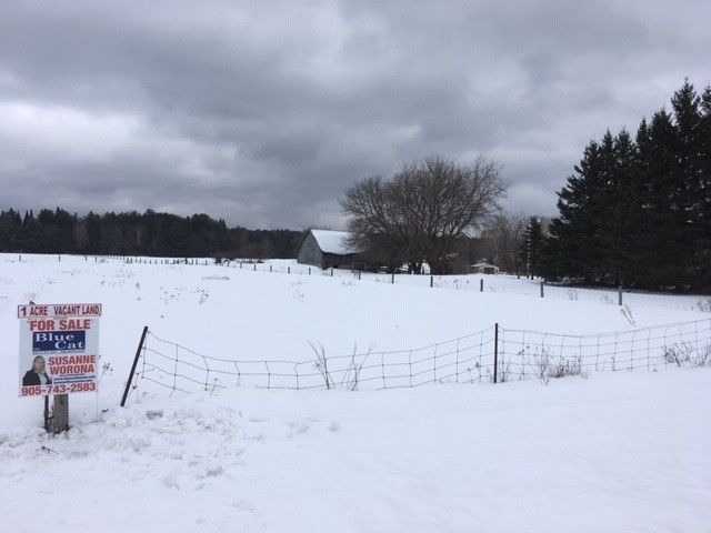 0 Burnt River Rd, Kawartha Lakes, K0M 1C0 | Image 2