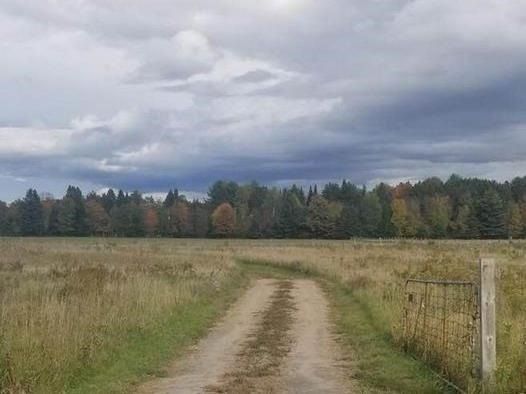 0 Burnt River Rd, Kawartha Lakes, K0M 1C0 | Image 3