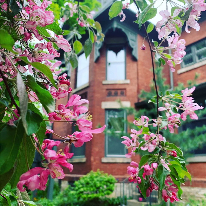 80 London Rd W, Guelph, N1H2B7 | Image 2