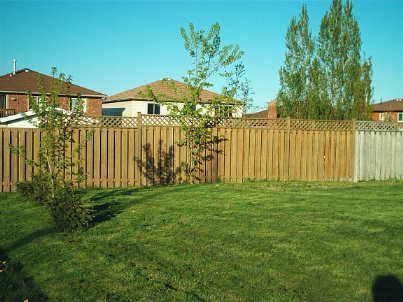 409 Anne St N, Barrie, L4M6K7 | Image 2