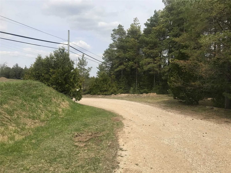 121 Collingwood St, Grey Highlands, N0C 1E0 | Image 3