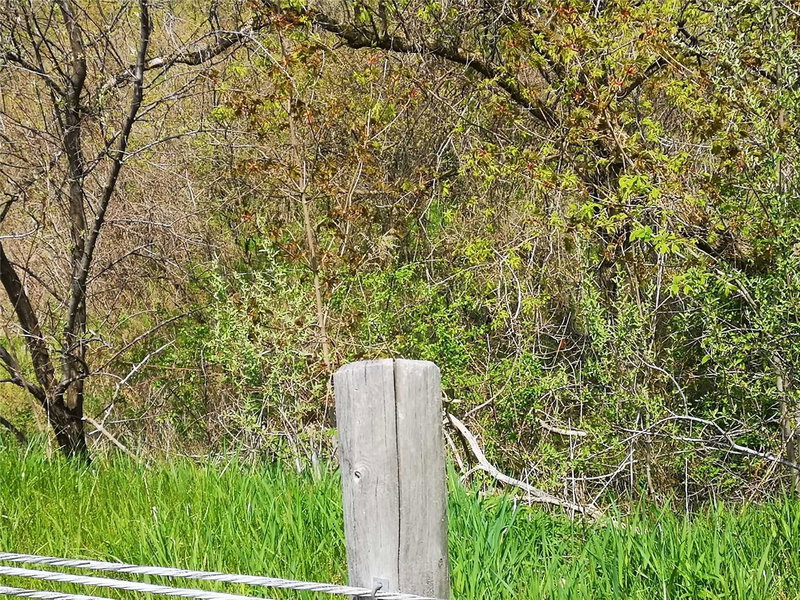 810 Clyde Rd, Cambridge, N1R 5S7 | Image 3