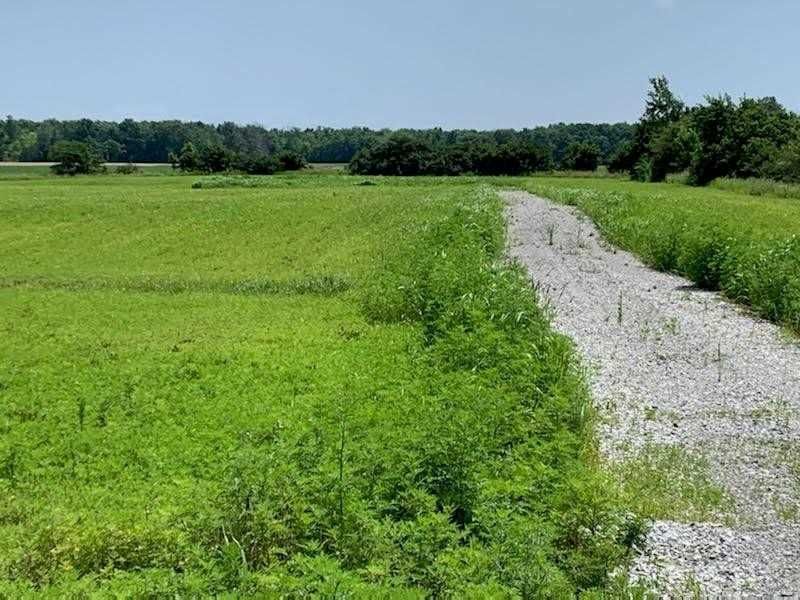 3718 Rainham Rd, Haldimand, N0A 1P0 | Image 2