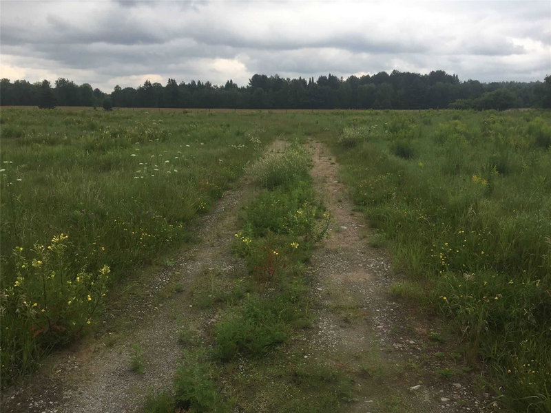 0 Burnt River Rd, Kawartha Lakes, K0M 1C0 | Image 2