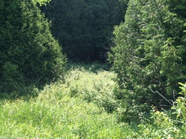 517403 County Rd 124 Rd, Melancthon, L9V 1T9 | Image 2