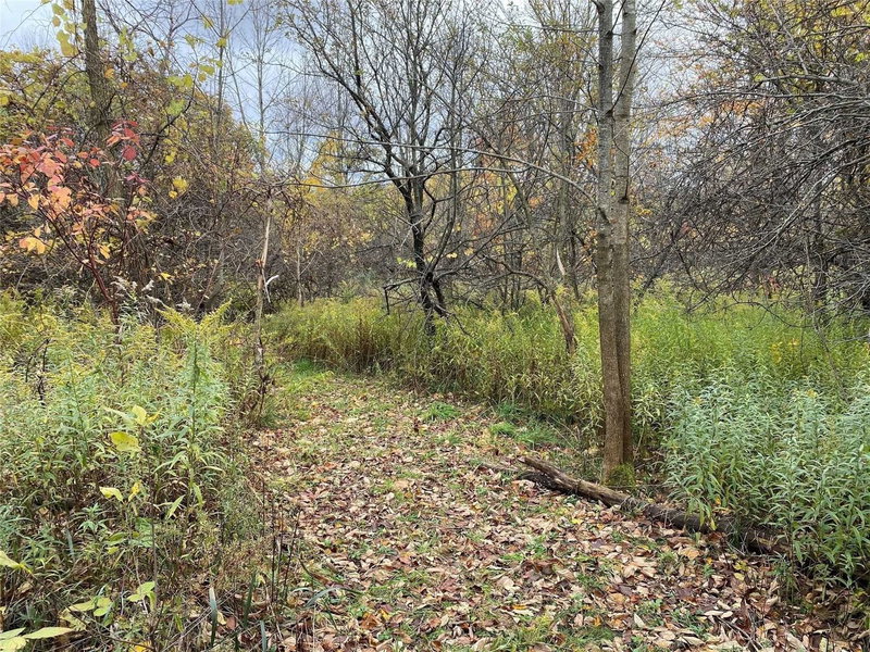 9 Laela Cres, Mulmur, L9V 2V7 | Image 2