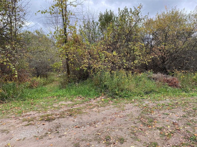 9 Laela Cres, Mulmur, L9V 2V7 | Image 3