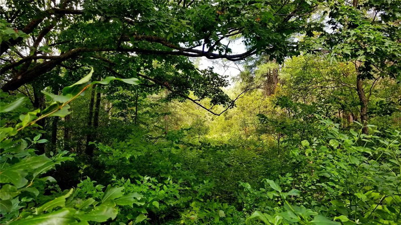 Lot 31 9 County Rd, Melancthon, N0C 1B0 | Image 2