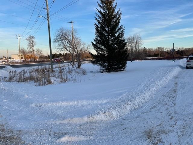 203 Arthur St W, Blue Mountains, N0H2P0 | Image 2