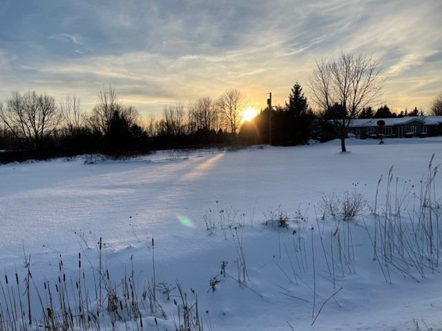 203 Arthur St W, Blue Mountains, N0H2P0 | Image 3