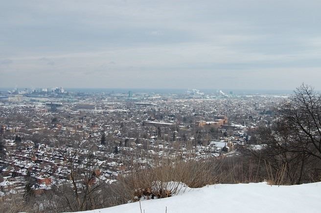 238 Mountain Park Ave, Hamilton, L8V1A4 | Image 2