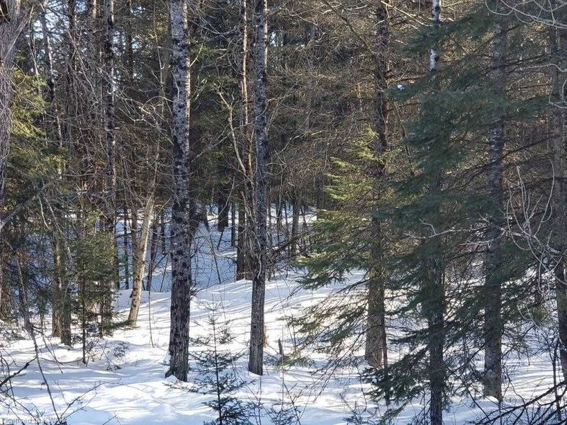 70 Bannockburn Rd, Madoc, K0K 1Y0 | Image 3