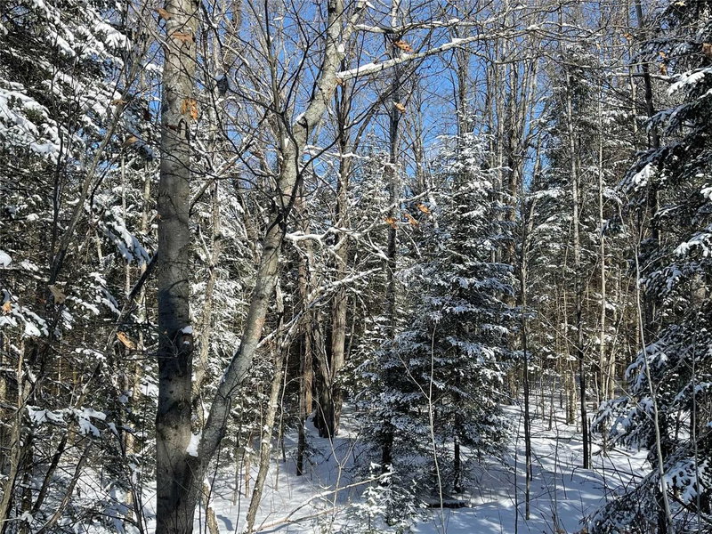 0 Quarry Rd, Bancroft, K0L 1C0 | Image 3