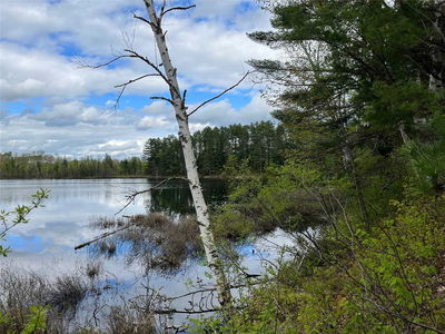Lot 8 Casson Tr, Madawaska Valley -  image-0-4