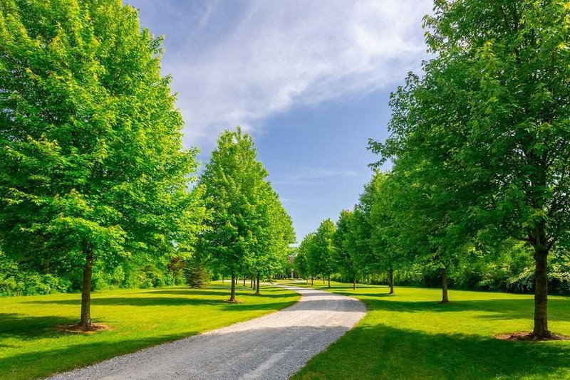 5045 Michener Rd, Fort Erie, L0S 1R0 | Image 3