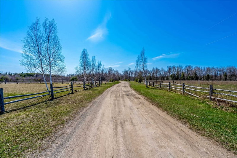 387091 20th Sdrd, Mono, L9W 6V5 | Image 2