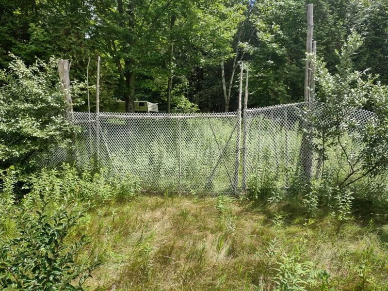 00000 Webster Rd, Port Hope, L1A 3Z9 | Image 3