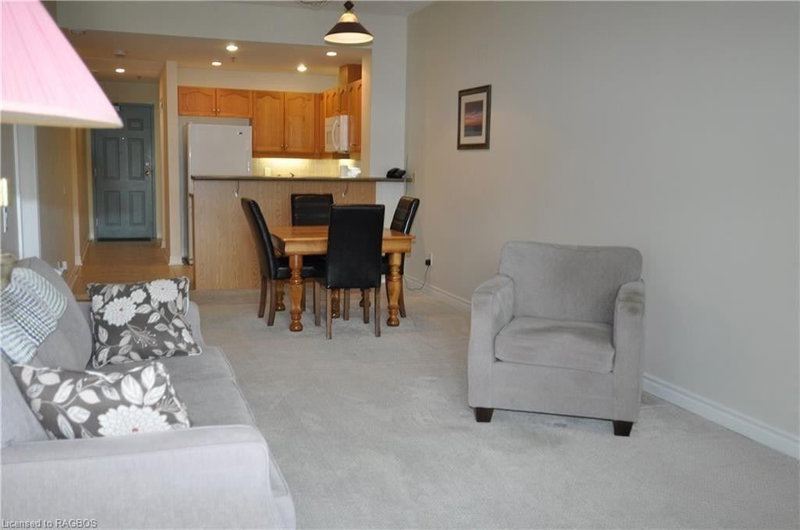 308 - 34 Bayfield St, Meaford, N4L 1Y2 | Image 3