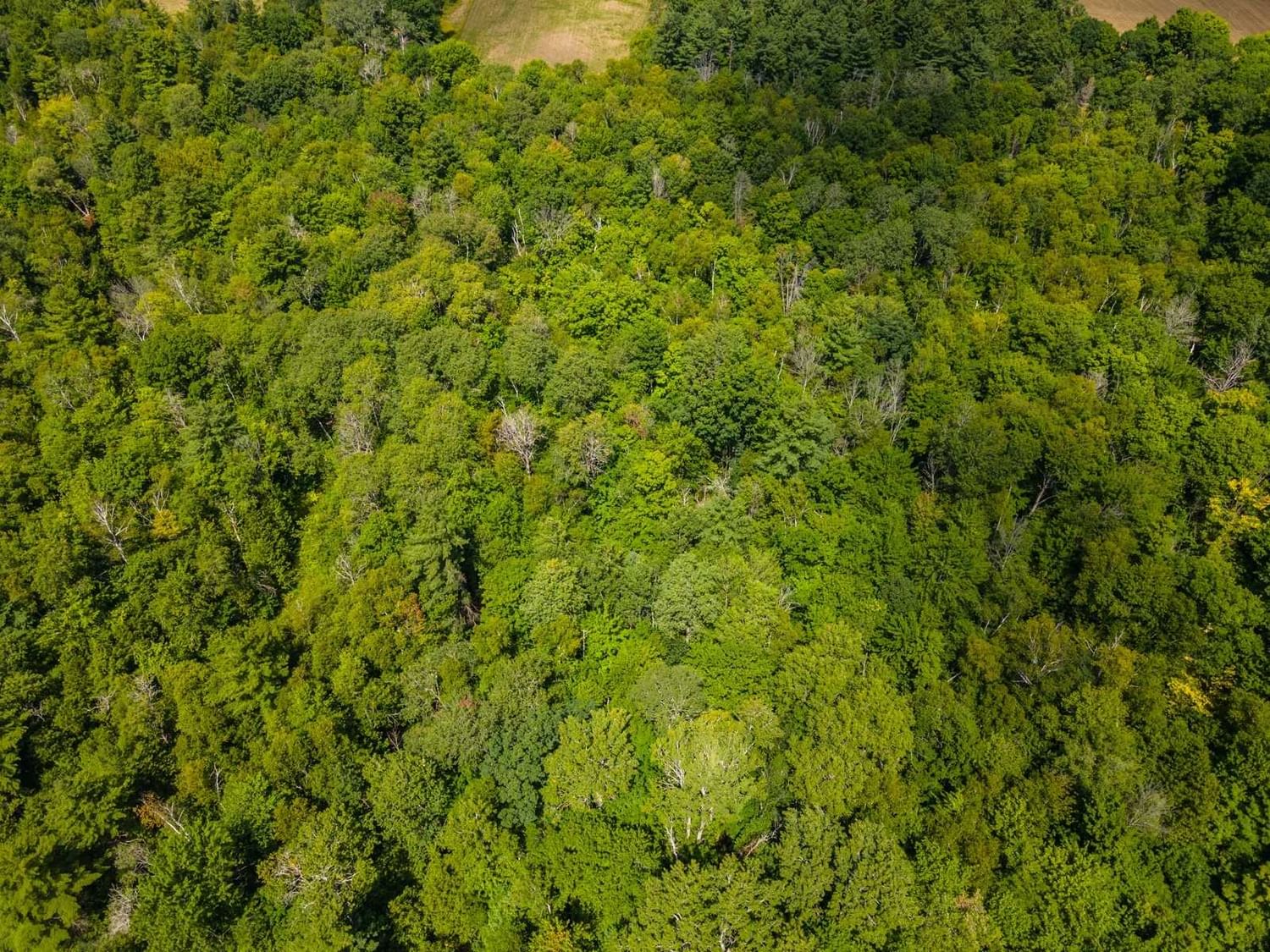 Listing Image 37