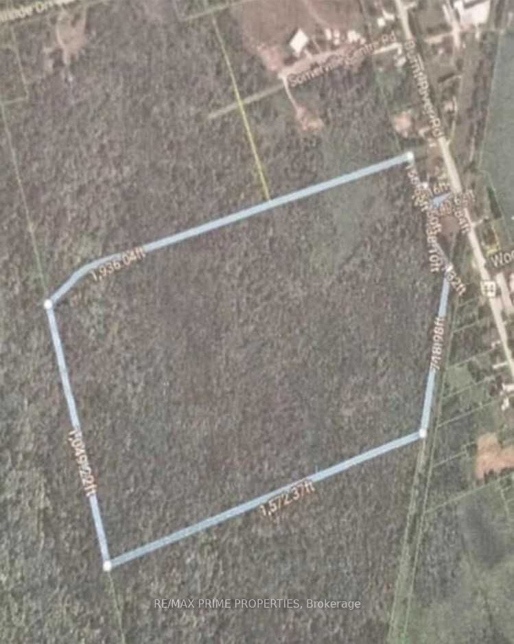 0 Burnt River Rd, Kawartha Lakes, K0M 1C0 | Image 2