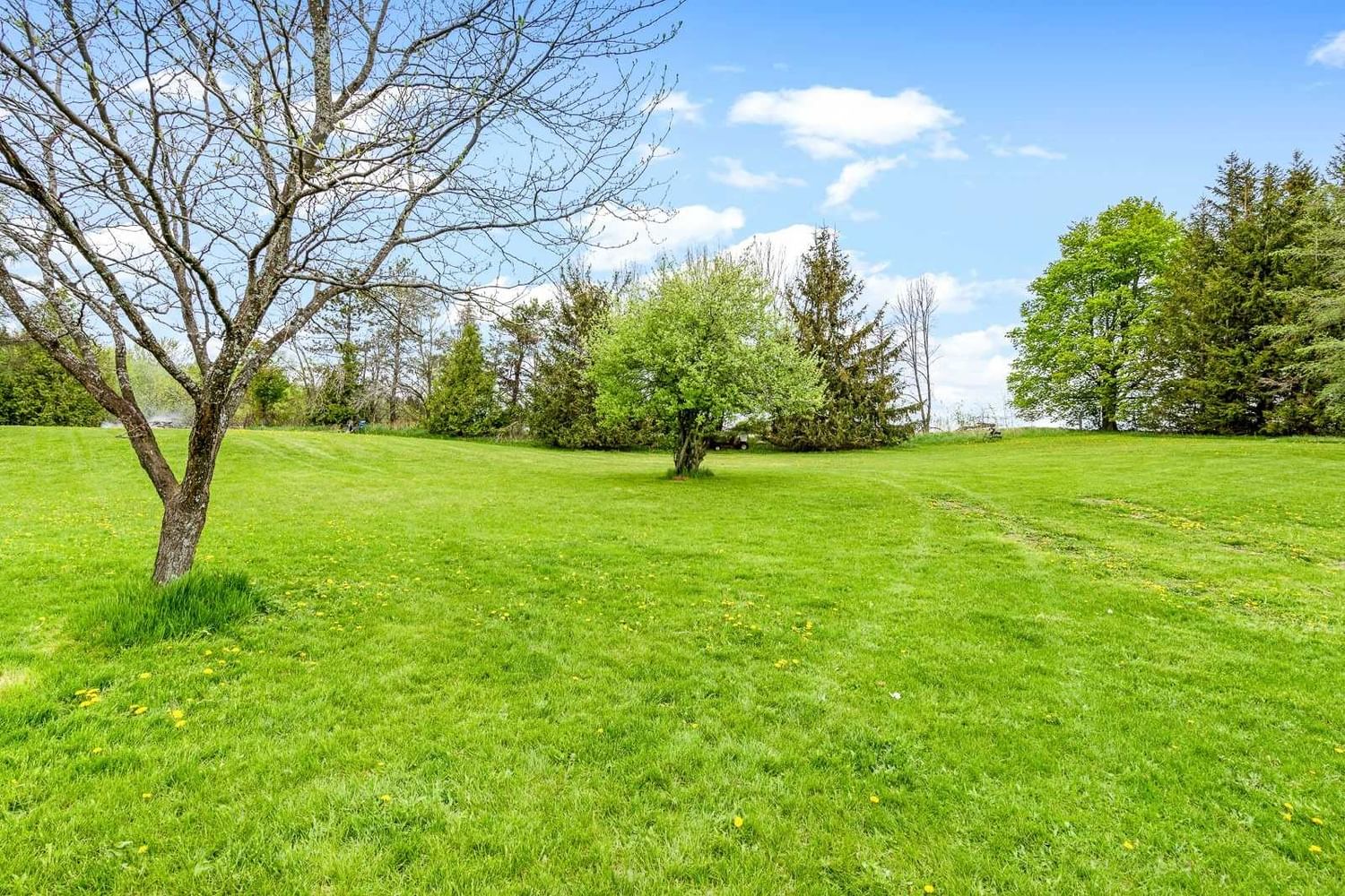 Listing Image 39